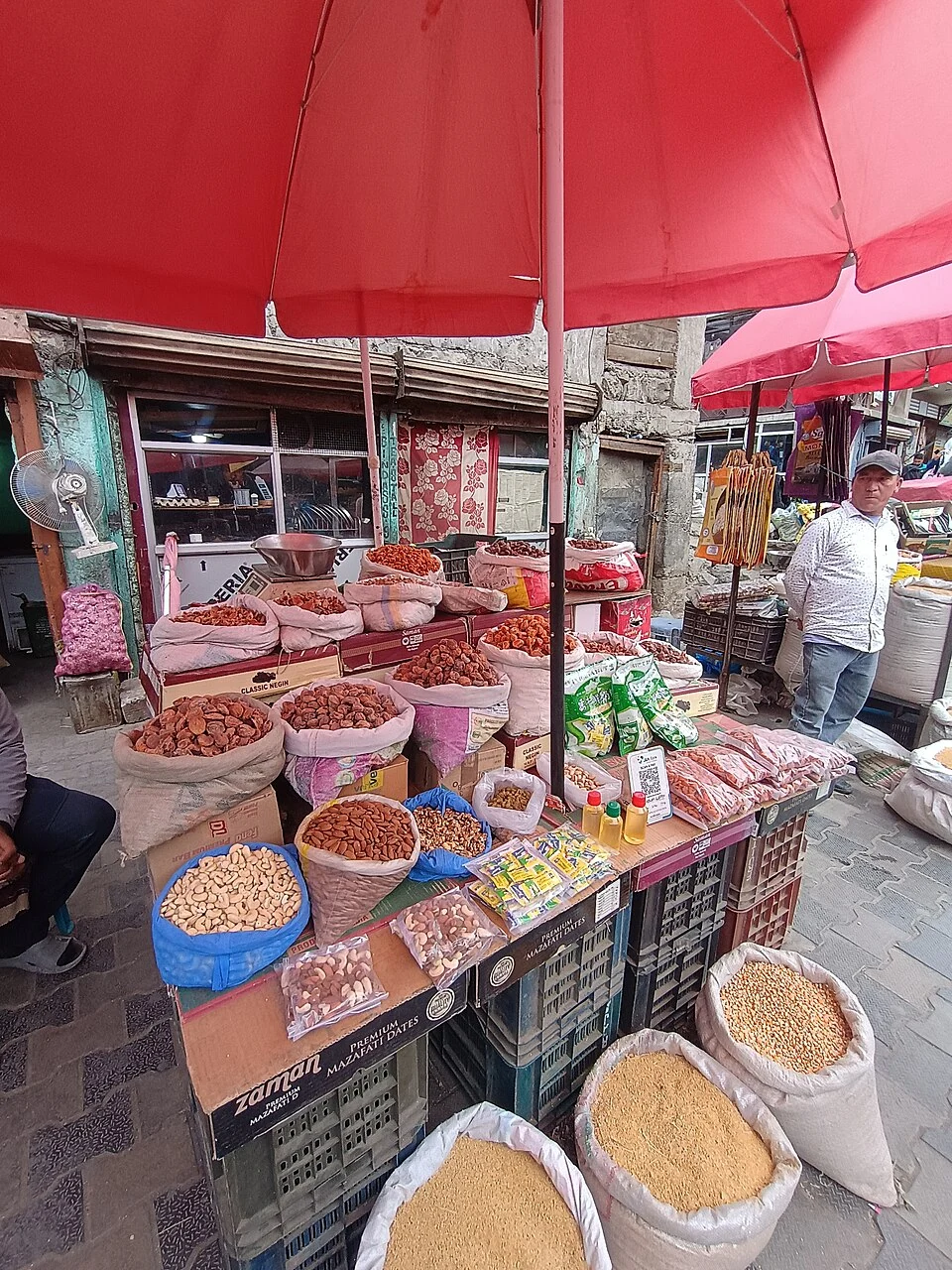 Ladakh Apricots: Orchards and Fruit in Mountain Settlements