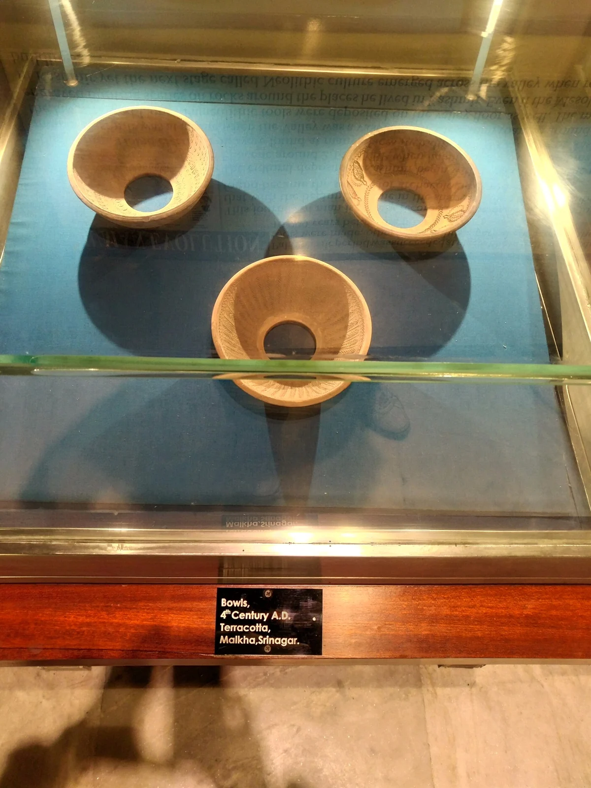 Sri Pratap Singh Museum: Objects and the History of Kashmir