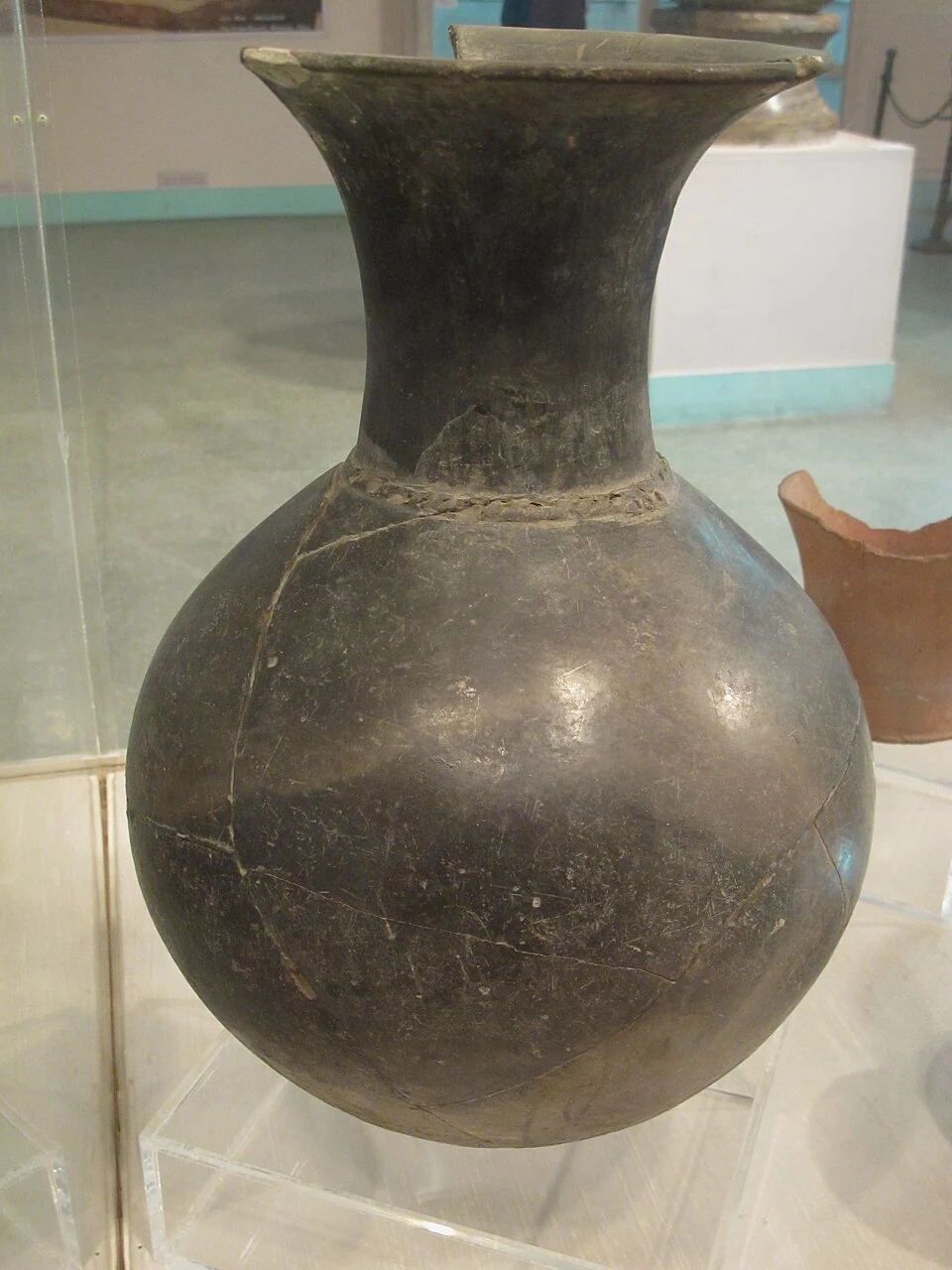 Burzahom: Archaeology and Early Settlement in Kashmir