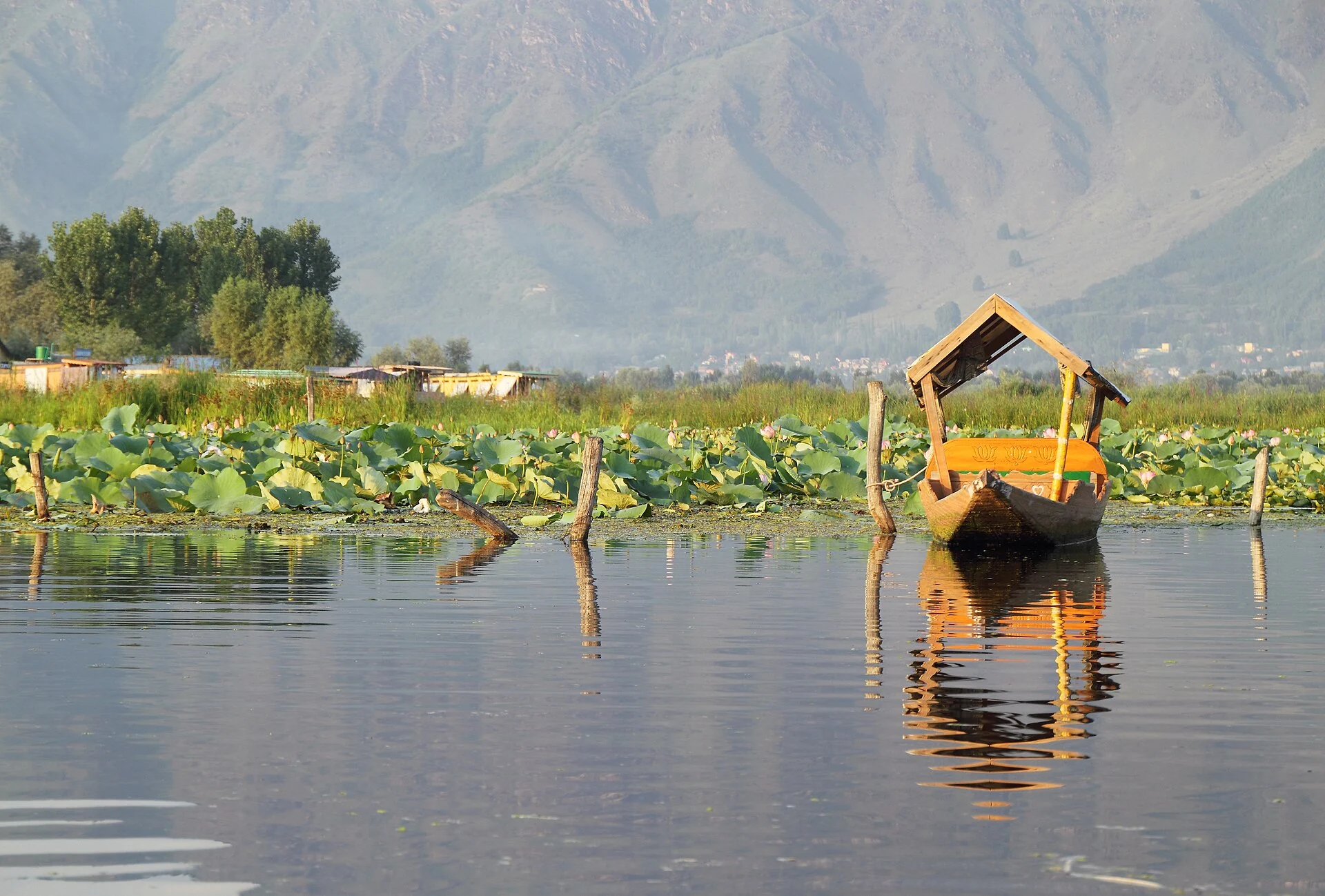 Dal Lake: Waterways, Floating Gardens and Life on the Lake