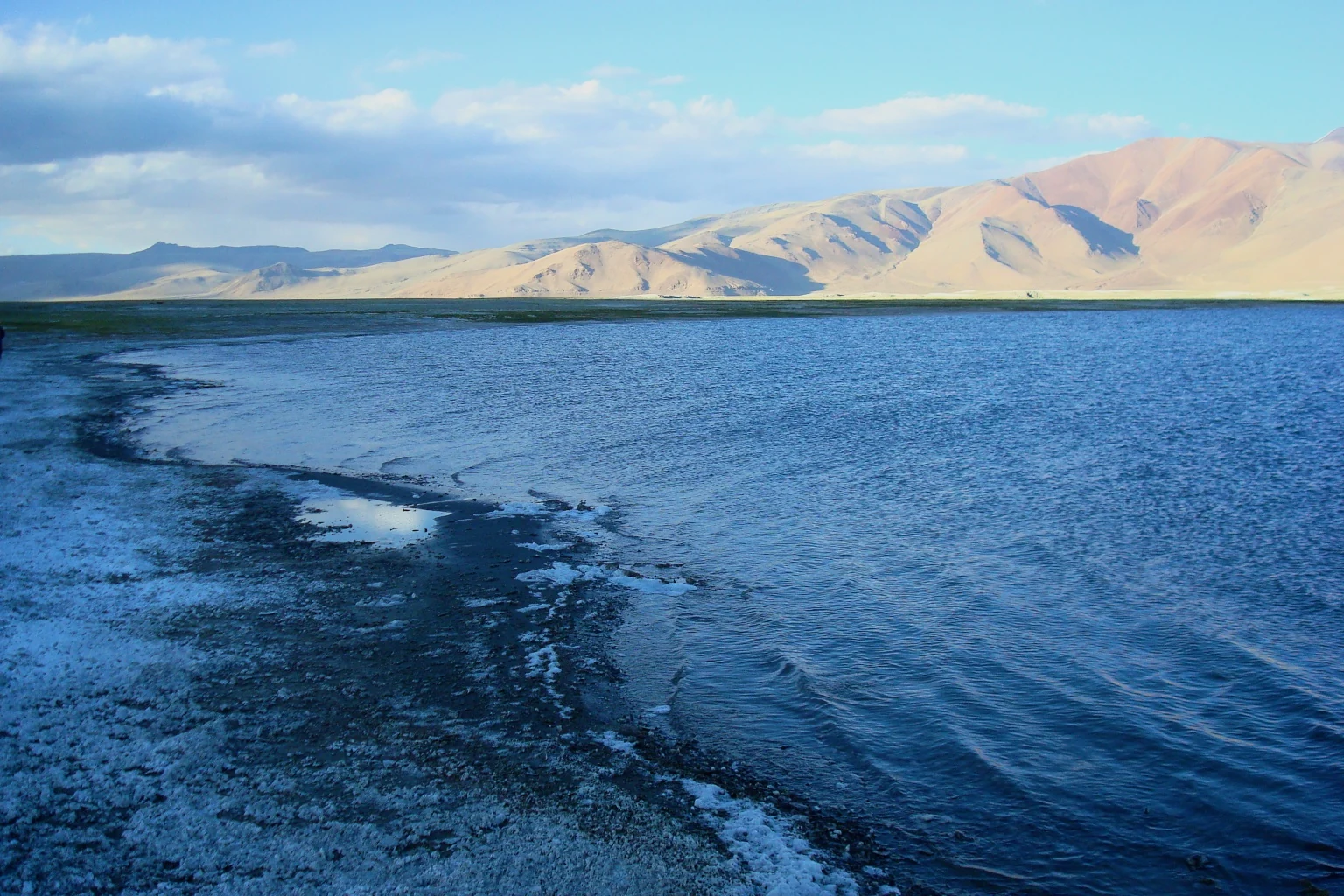 Tso Kar: Saline Lake and a High-altitude Wetland Complex