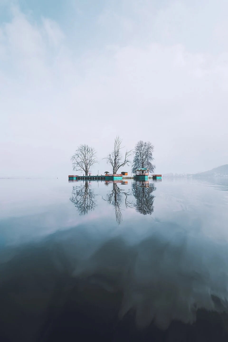 Chinar: Tree, Shade and Cultural Landscape in Kashmir