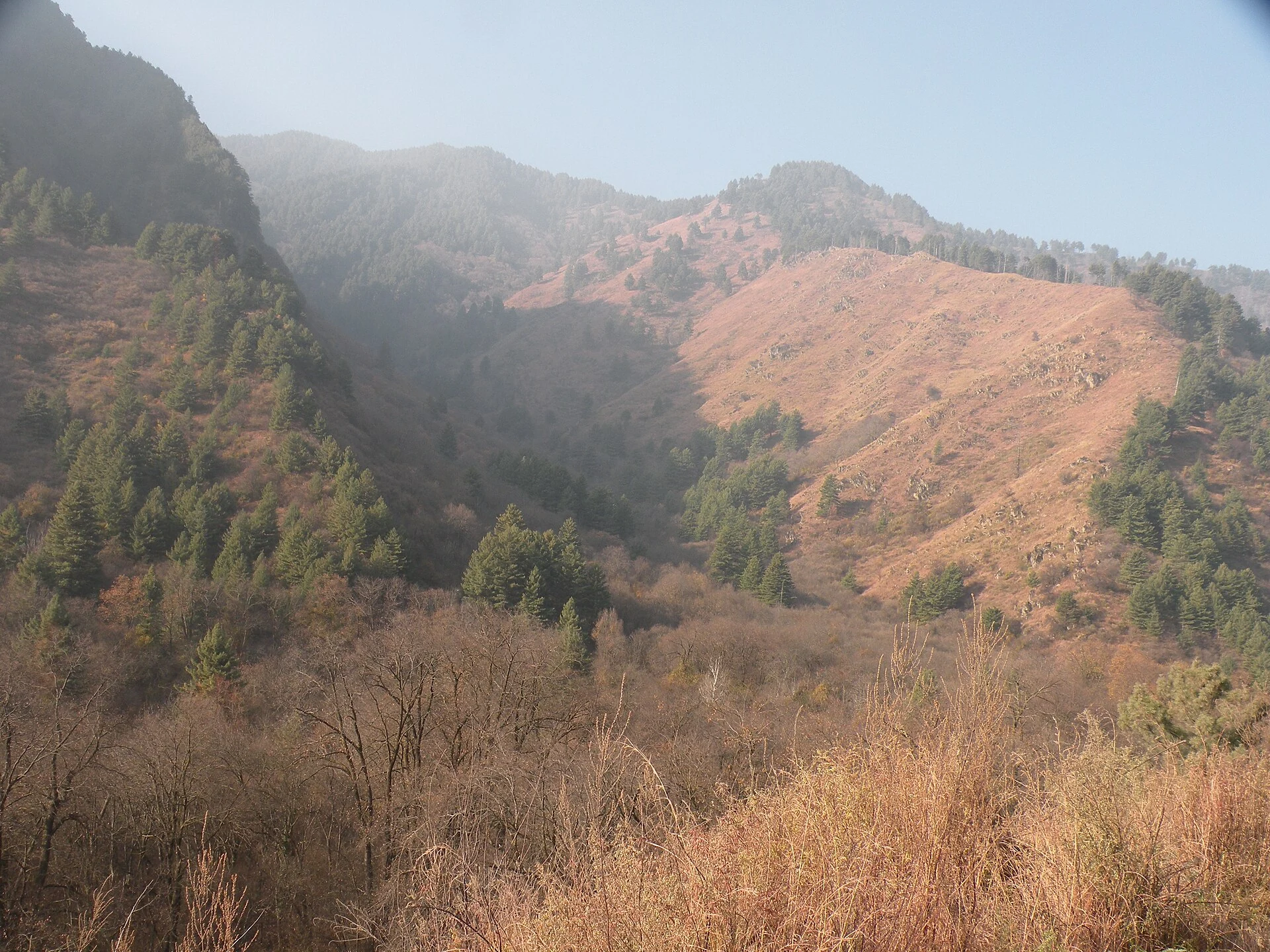 Dachigam National Park: Landscape, Hangul and Conservation