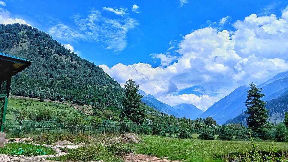 Overa–Aru Wildlife Sanctuary: Habitat above the Lidder Valley