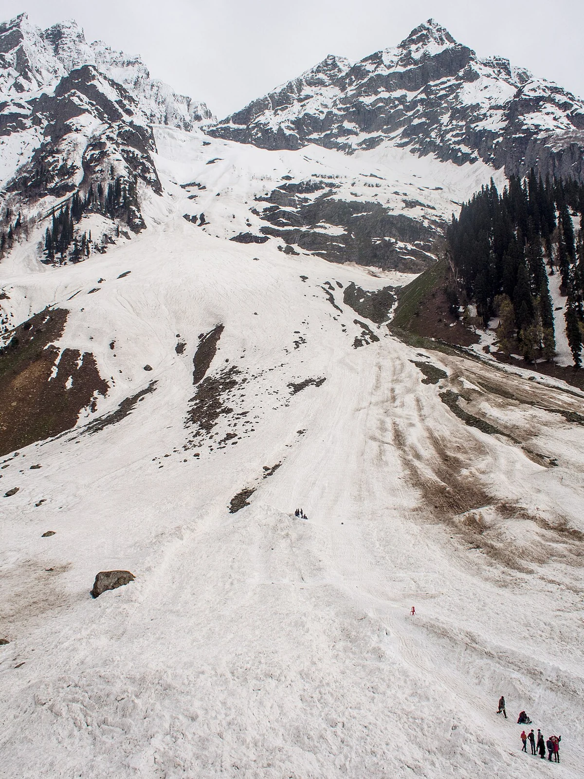Thajiwas Glacier: Ice, Meadow and the Sonamarg Mountain Landscape