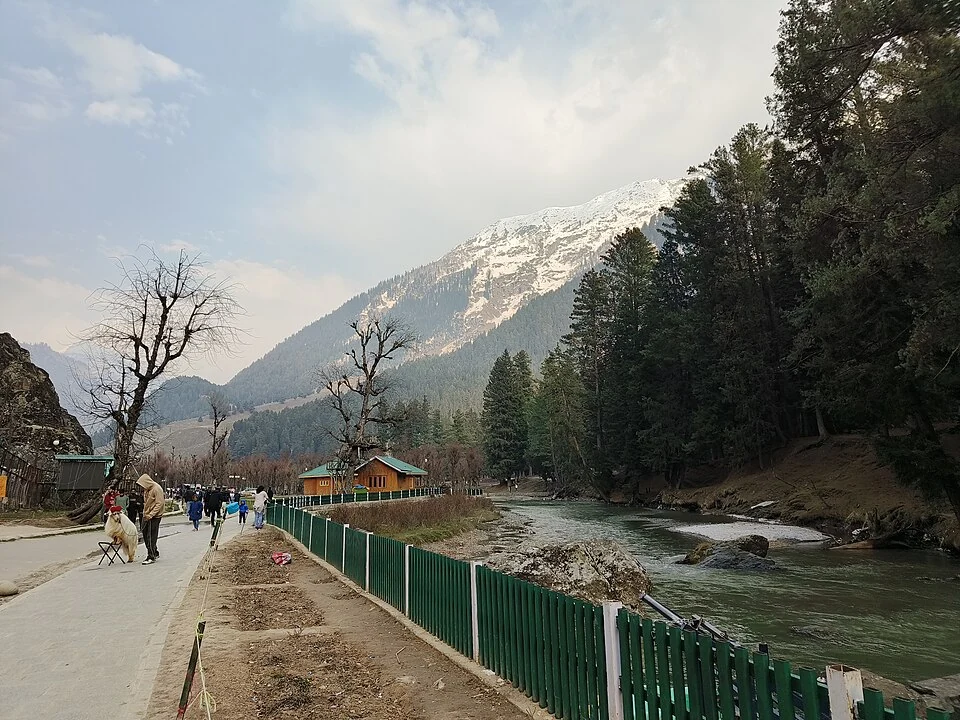 Betaab Valley: Film-associated Landscape near Pahalgam