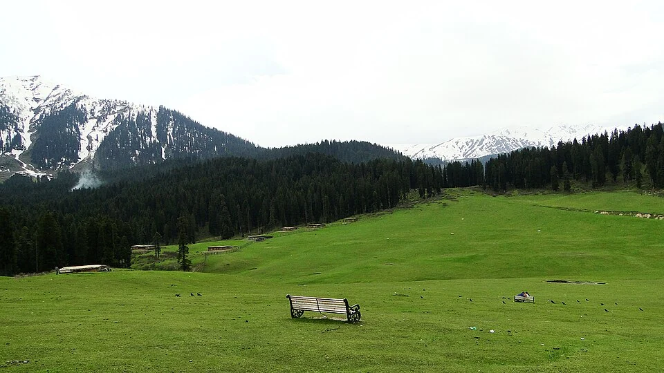 Doodhpathri: Meadow, Streams and the Budgam Uplands