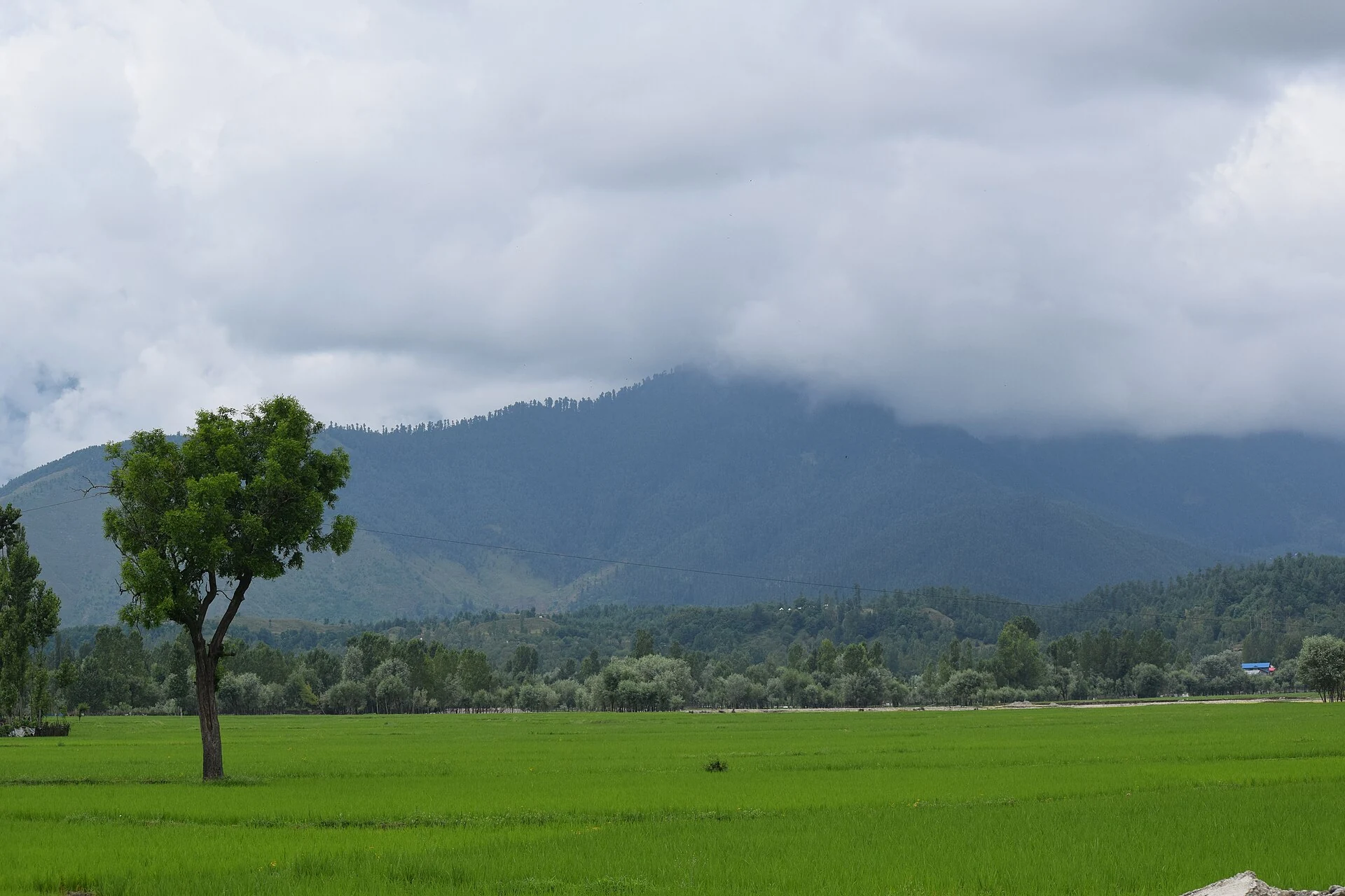 Lolab Valley: Villages, Forests and the Lalkul Waterscape