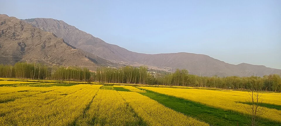 Pulwama: Town and District Headquarters in Kashmir