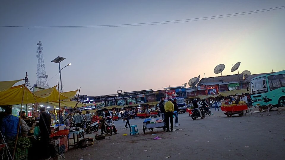 Sopore: Town, Jhelum and the Orchard Economy
